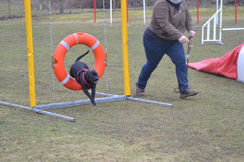 Agility